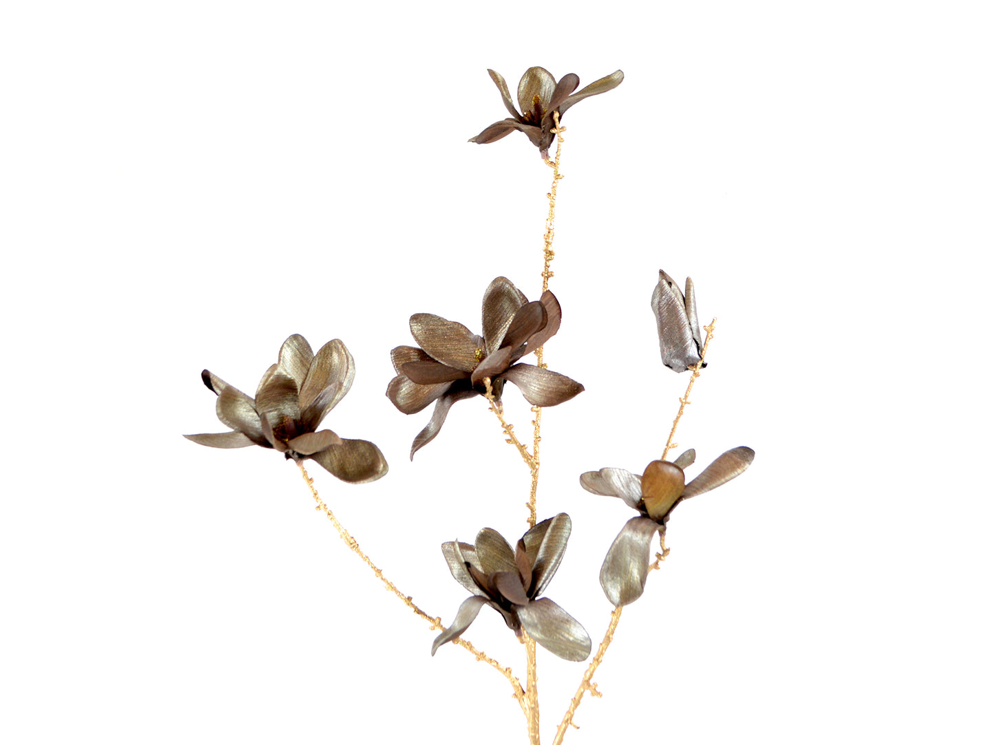 Kuns magnolia bruin