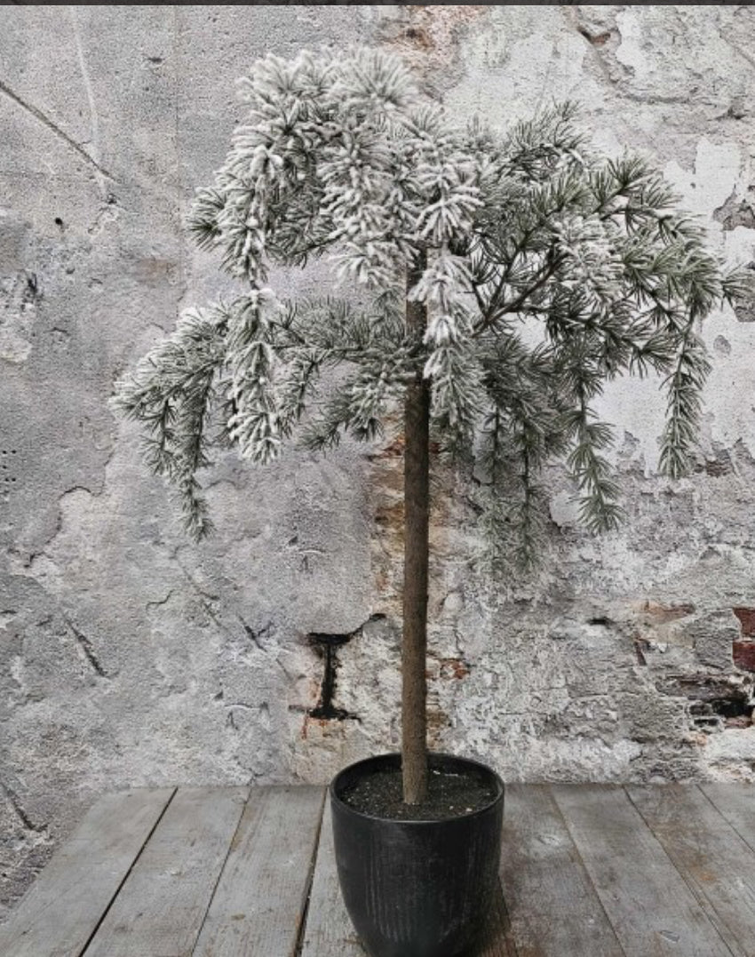 Dennenboom hangend model