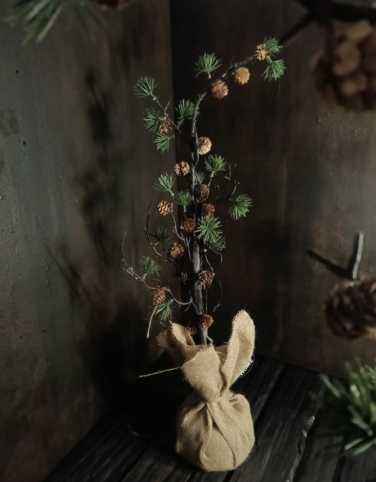 Sober dennenappelboompje
