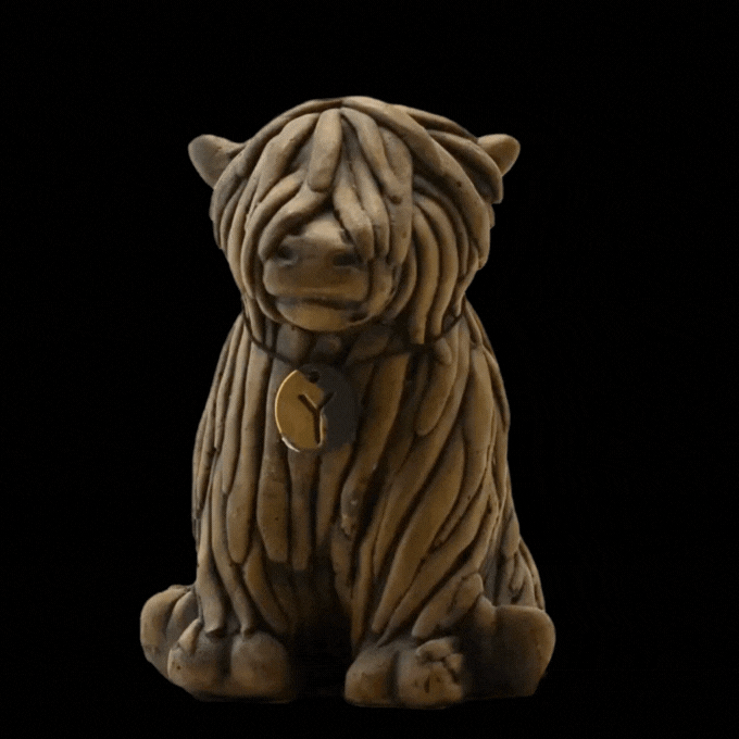 Zittende schotse hooglander