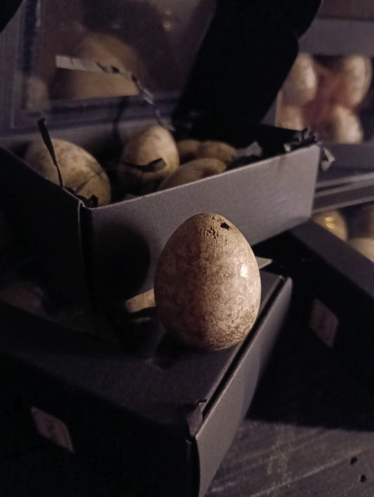 PMR decoratie eieren