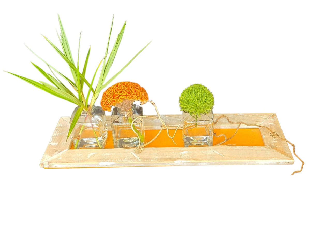 Kleurlijke tray