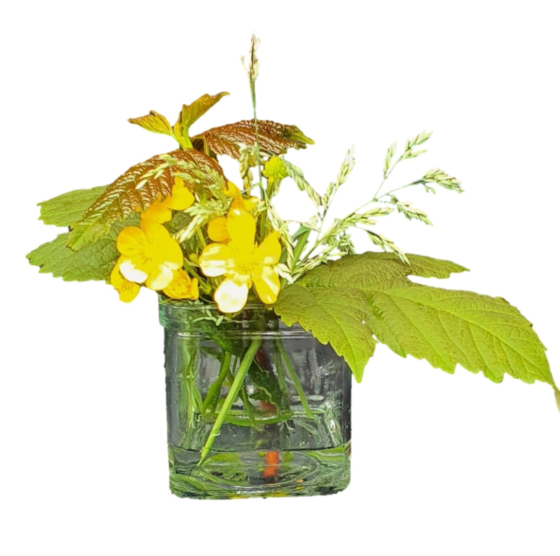 Accu glaasjes