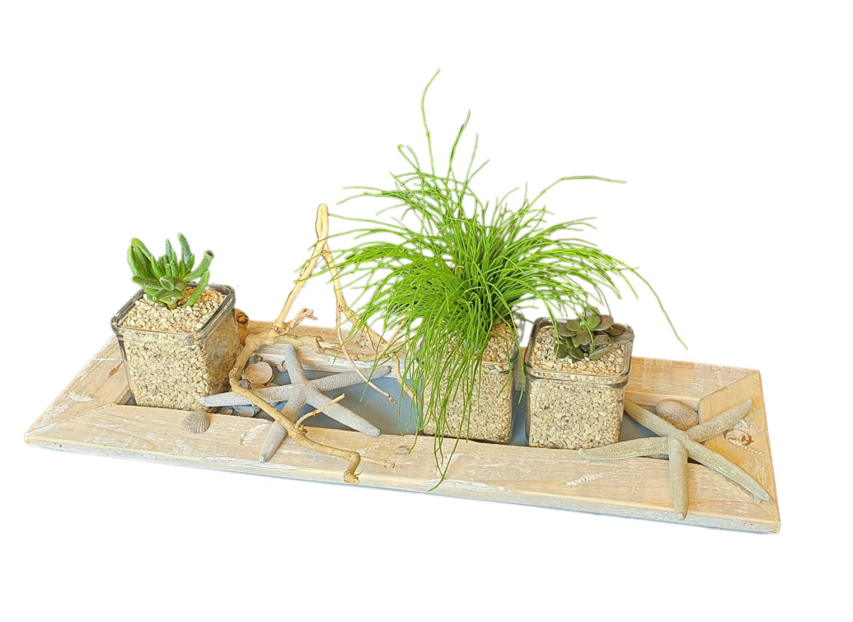 Kleurlijke tray
