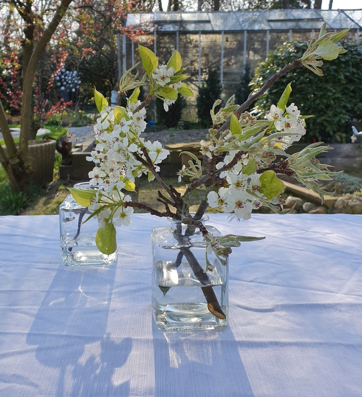 Accu glaasjes