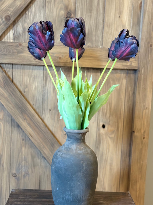 Tulp donkerpaars