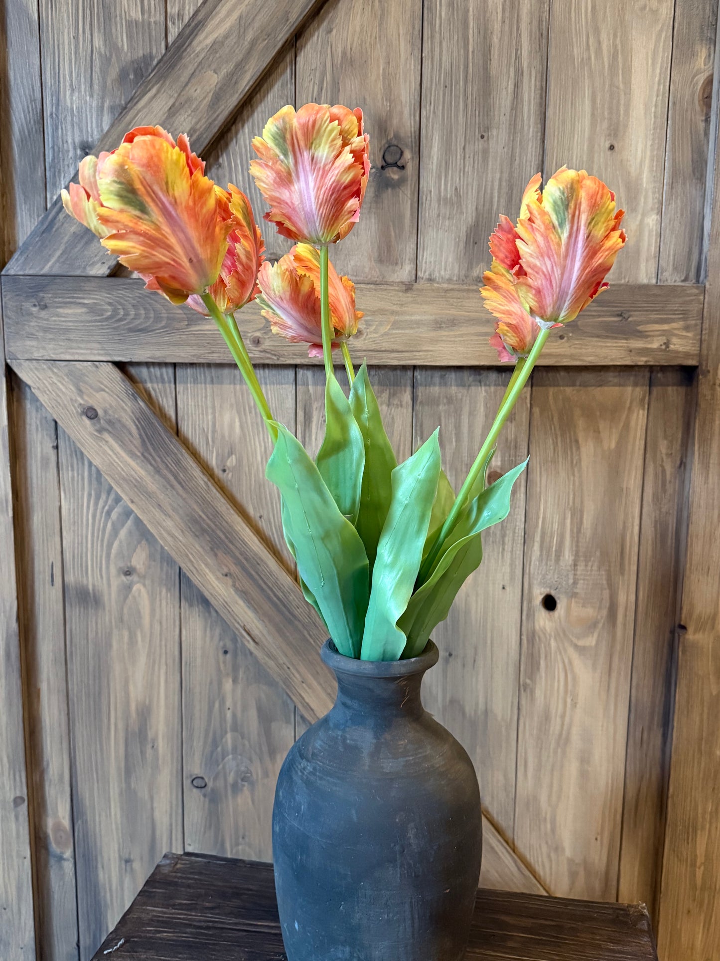 Tulp oranje