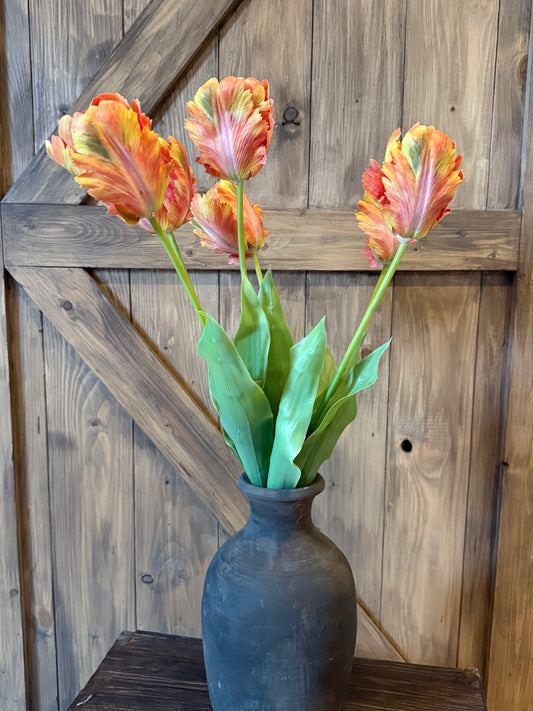 Tulp oranje