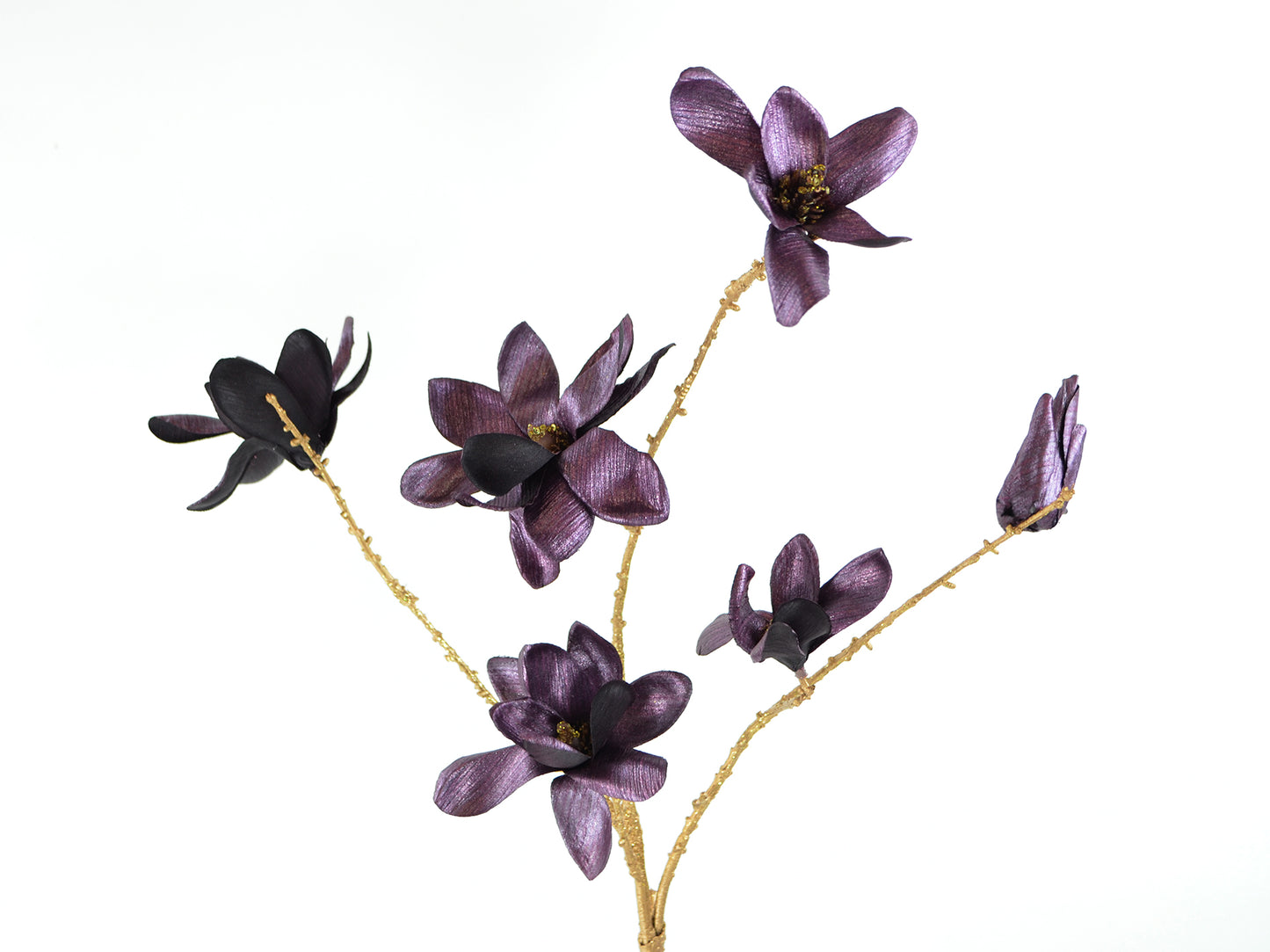 Kunst Magnolia lila