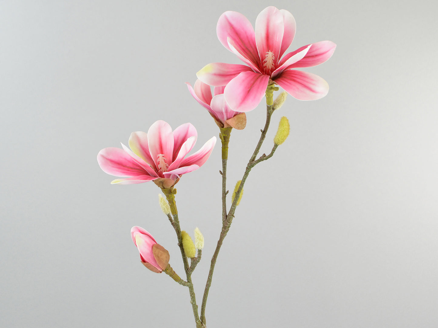 Kunst Magnolia roze