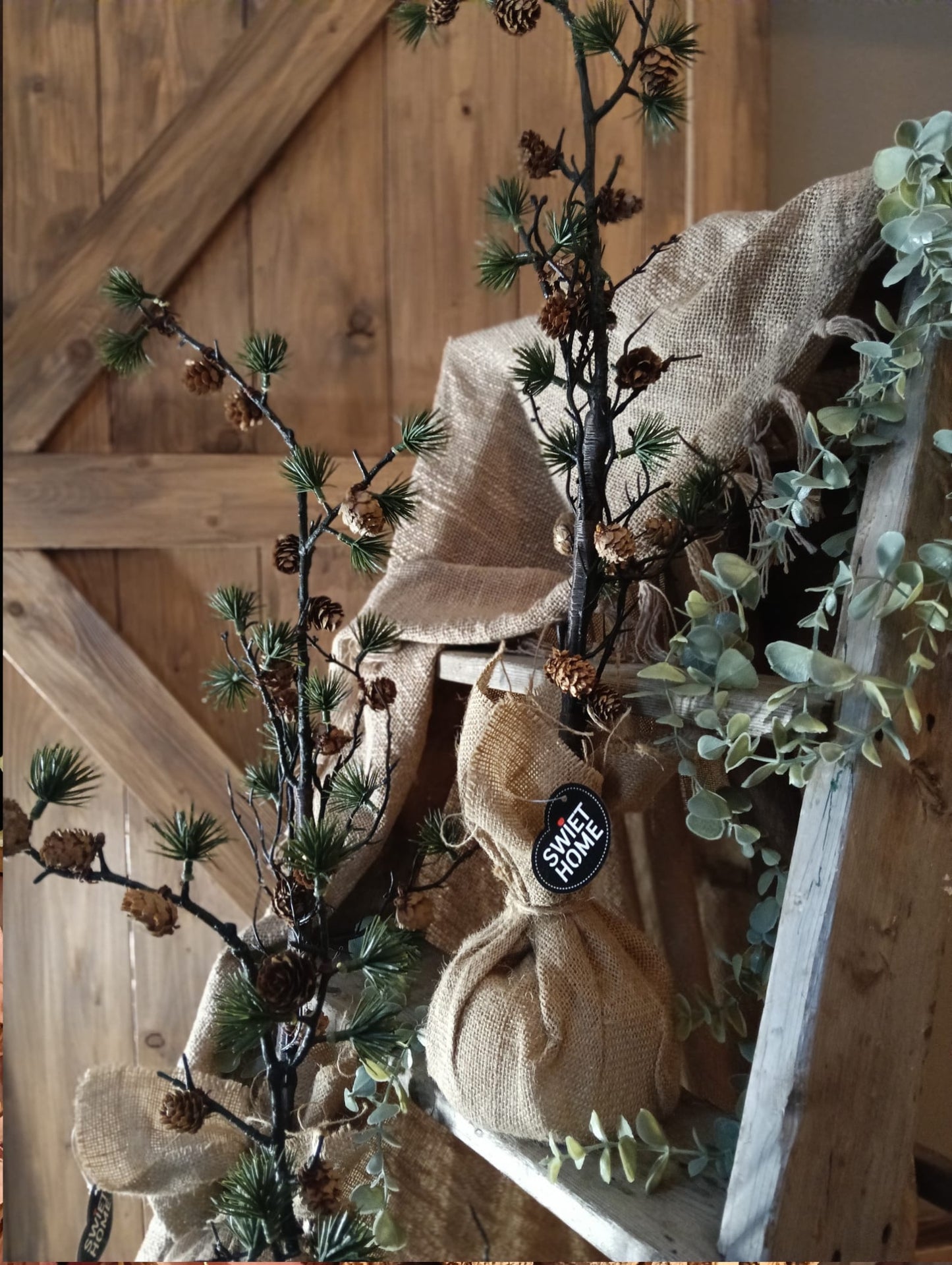 Sober dennenappelboompje