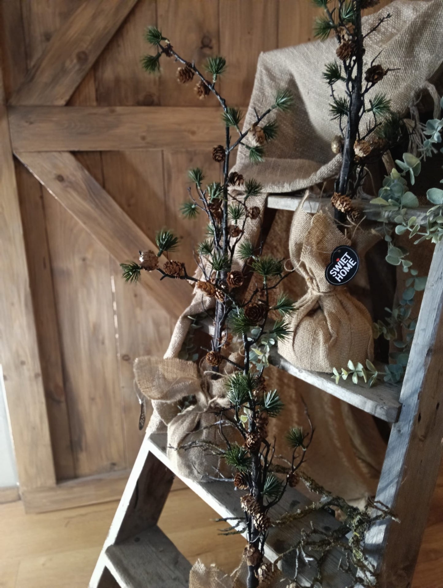 Sober dennenappelboompje