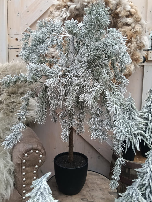 Dennenboom hangend model