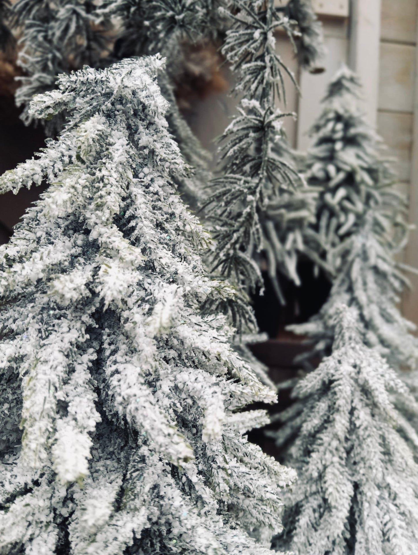 Kerstboom in pot sneeuw