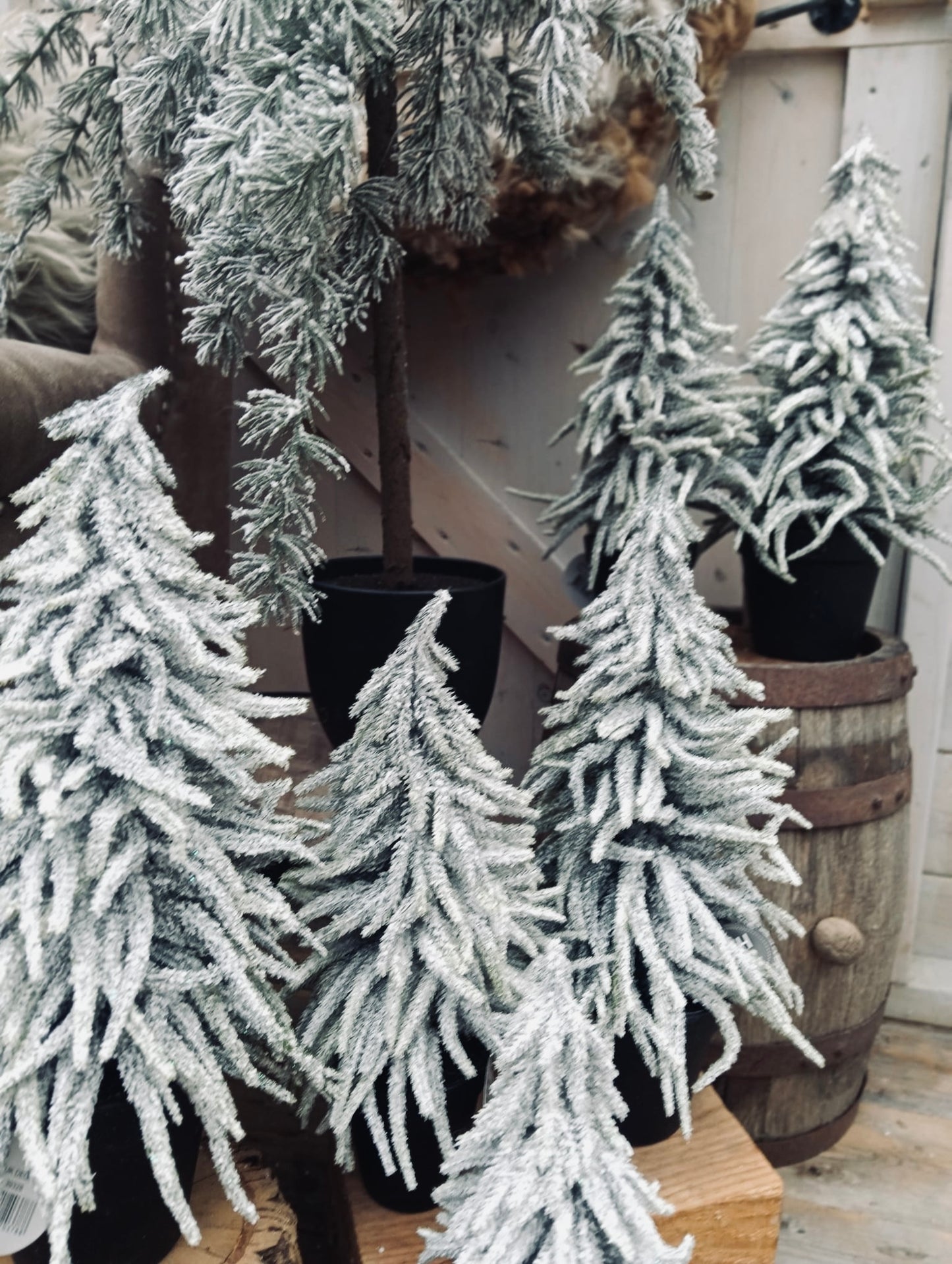 Kerstboom in pot sneeuw